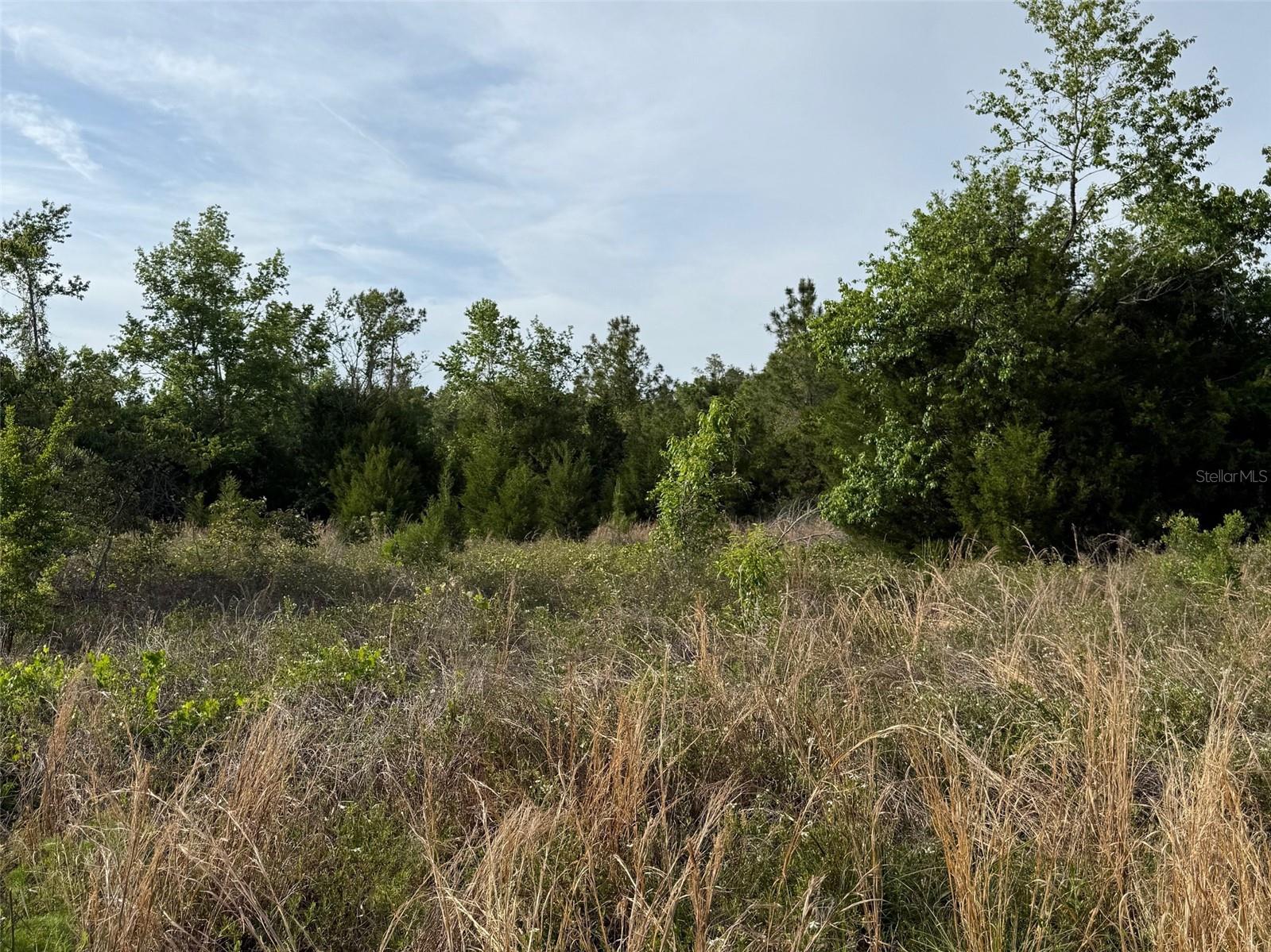 TBD NW 30TH ST, CHIEFLAND, FL, 32626