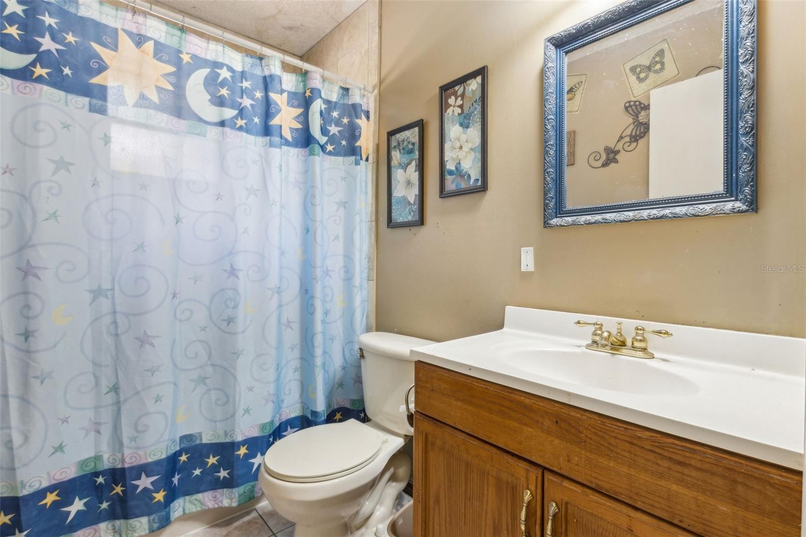 255 KATRINA ST, DE LEON SPRINGS, FL, 32130