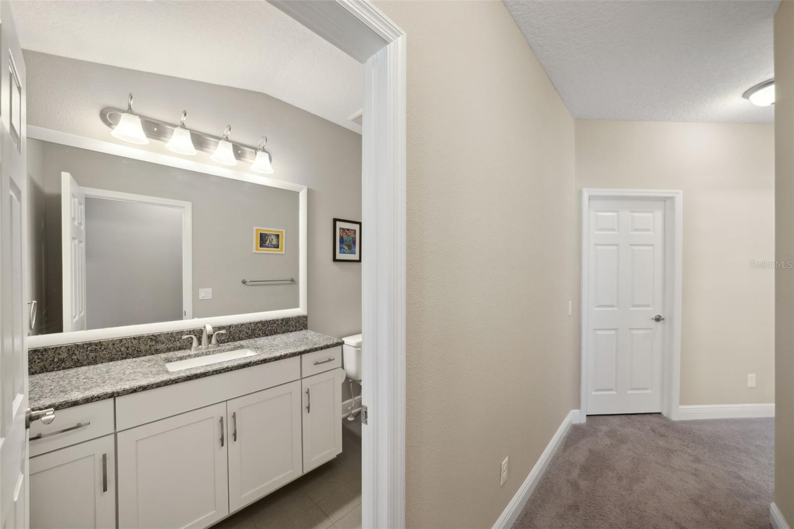 11548 CROWNED SPARROW LN, TAMPA, FL, 33626