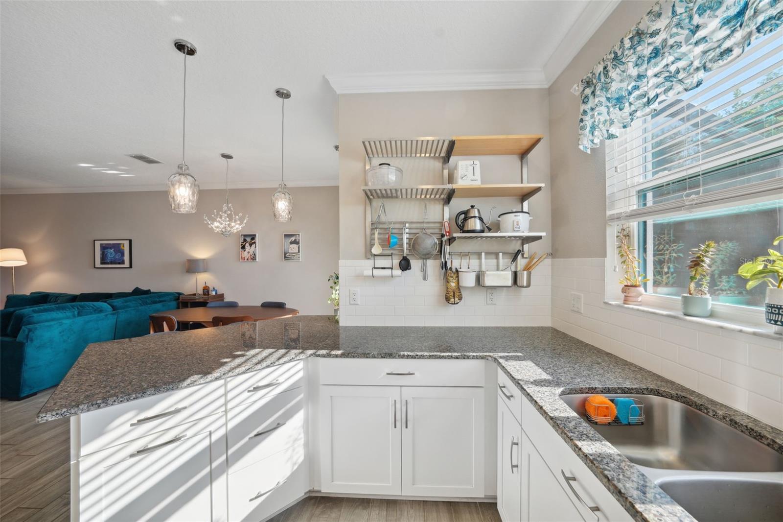 11548 CROWNED SPARROW LN, TAMPA, FL, 33626