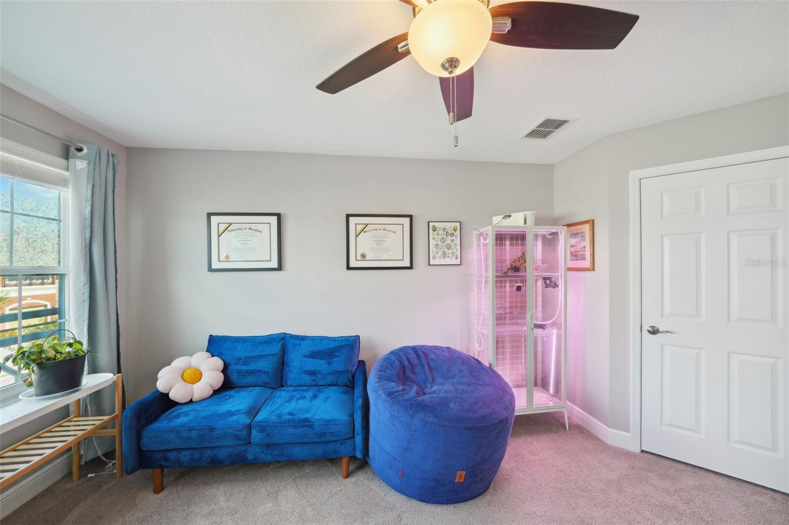 11548 CROWNED SPARROW LN, TAMPA, FL, 33626