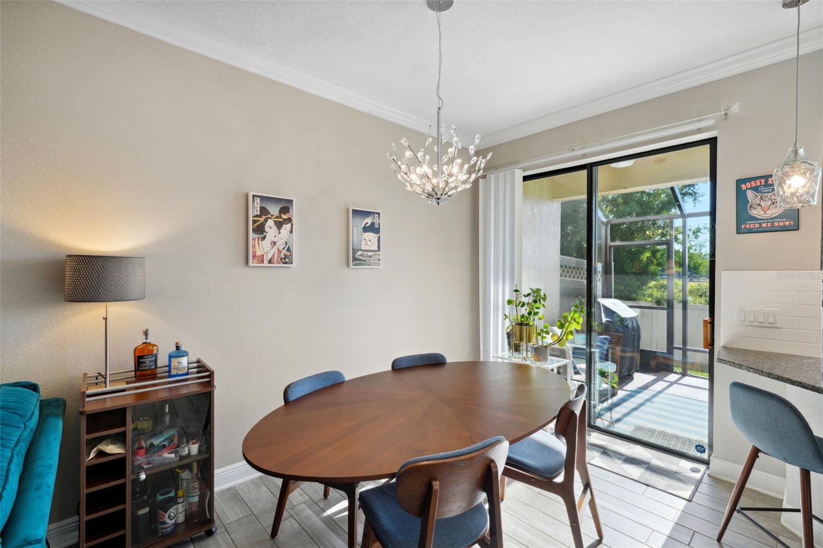 11548 CROWNED SPARROW LN, TAMPA, FL, 33626
