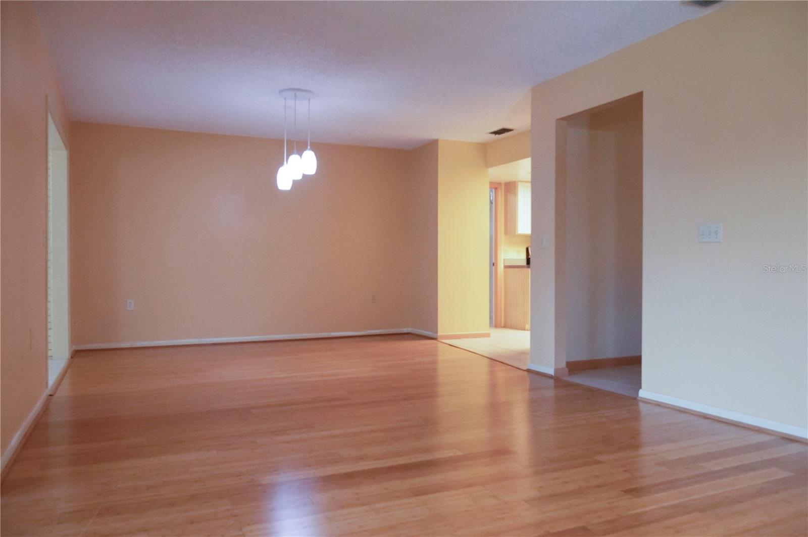 446 LAKE CAROLYN CIR, LAKELAND, FL, 33813