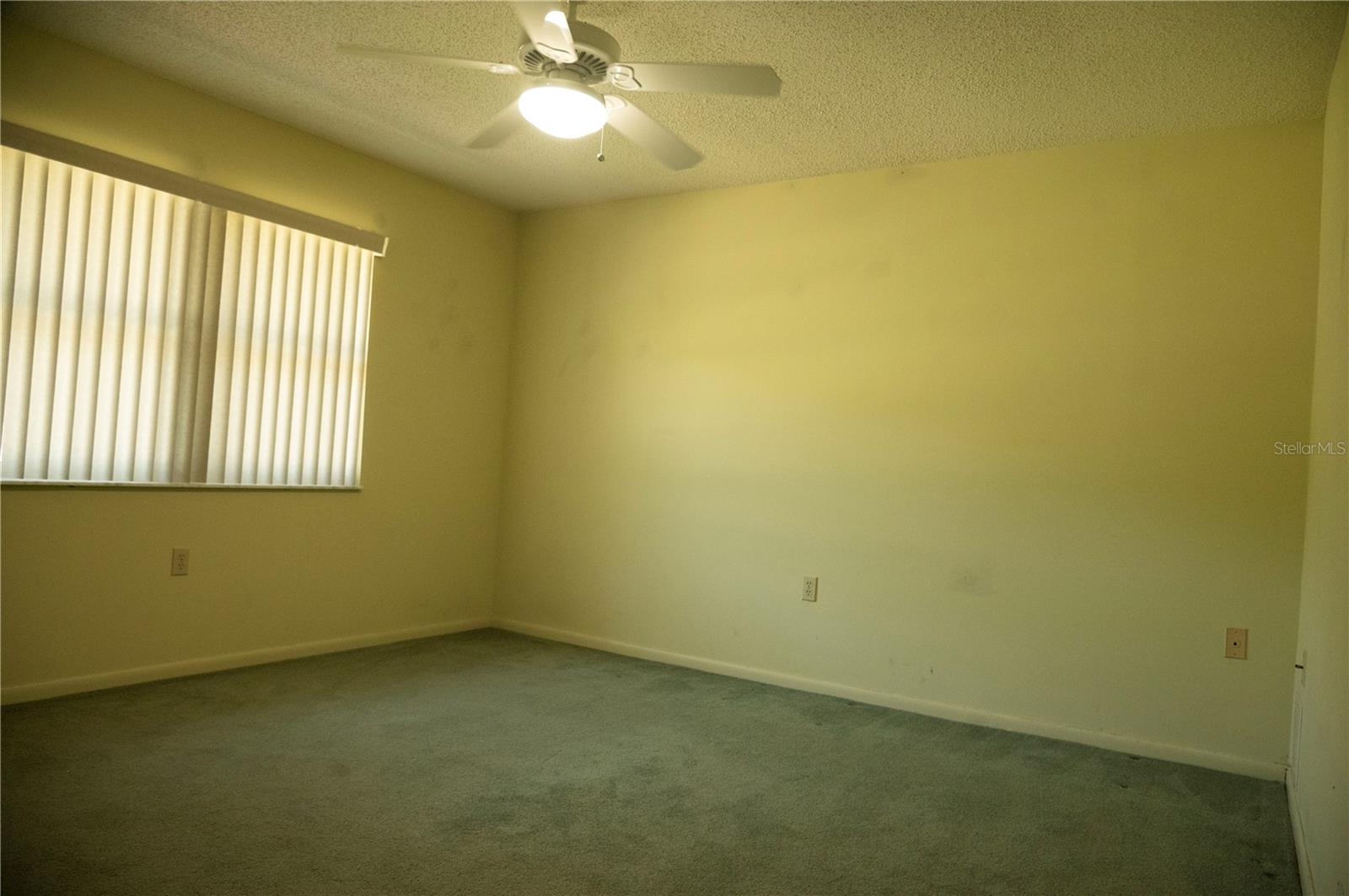 446 LAKE CAROLYN CIR, LAKELAND, FL, 33813