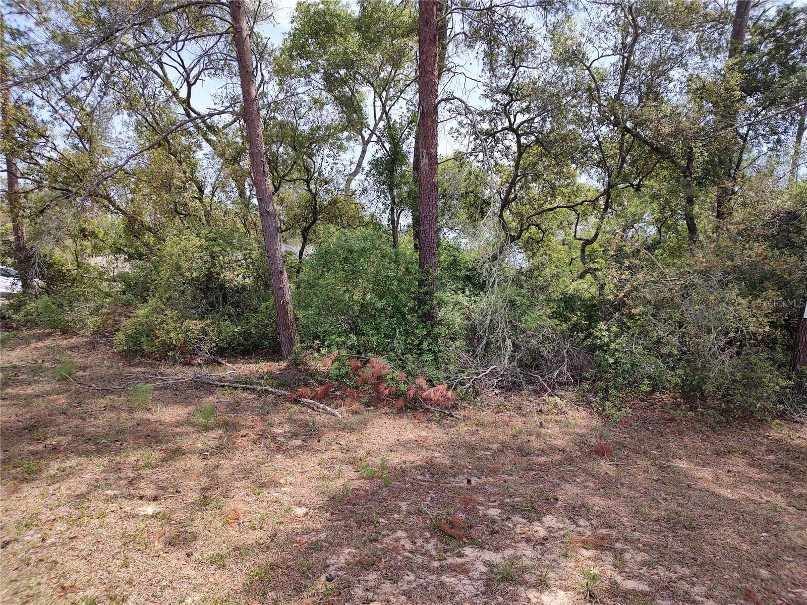 no situs SW 41ST AVE. RD, OCALA, FL, 34473