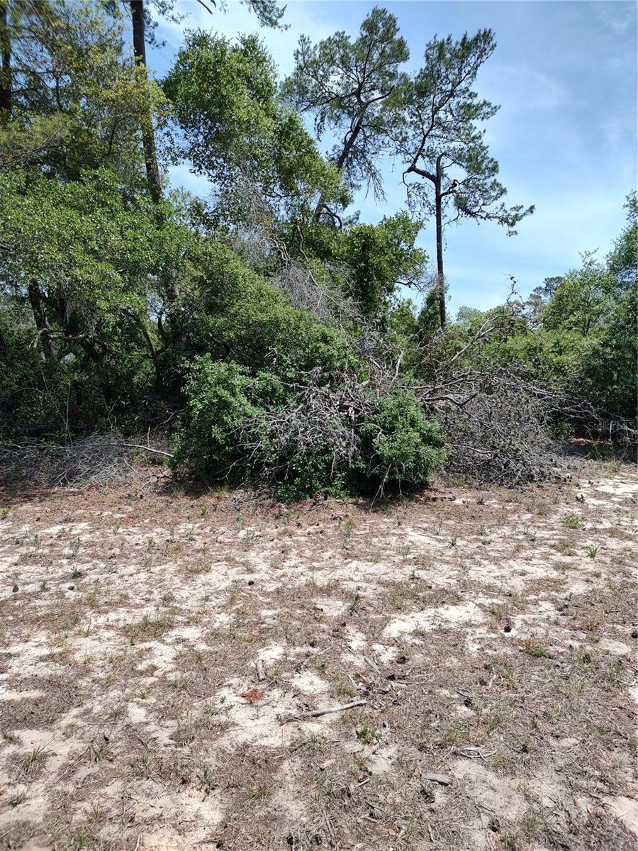 no situs SW 41ST AVE. RD, OCALA, FL, 34473