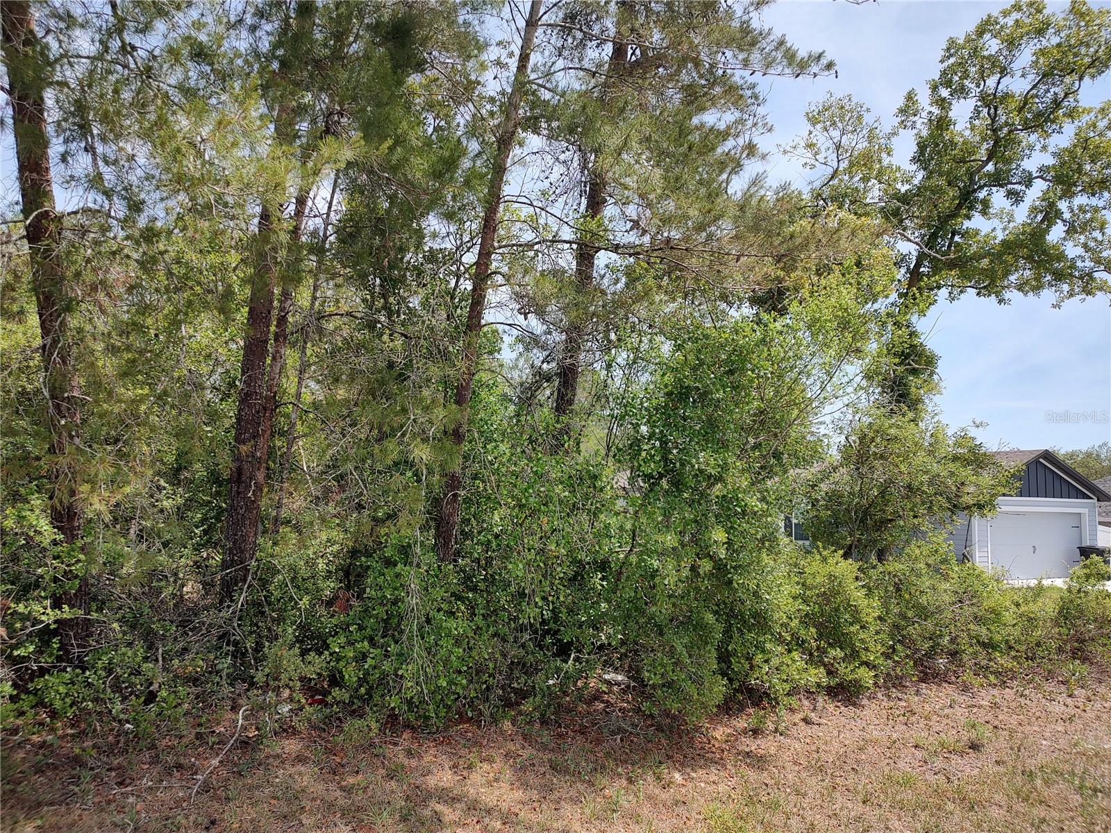 no situs SW 46TH CIR, OCALA, FL, 34473