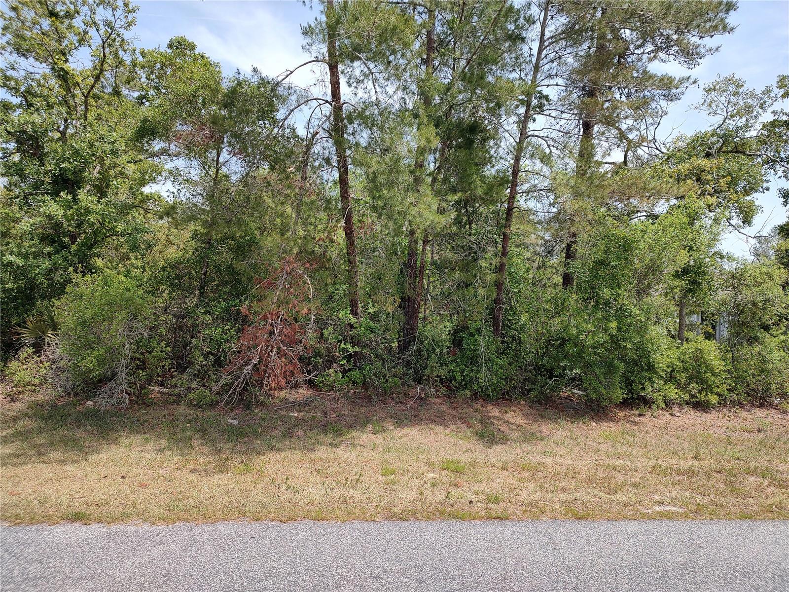 no situs SW 46TH CIR, OCALA, FL, 34473