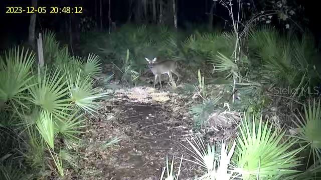 130 ROBIN RD, PALATKA, FL, 32177