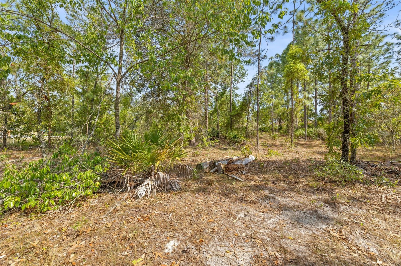 8459 MAZETTE RD, WEEKI WACHEE, FL, 34613