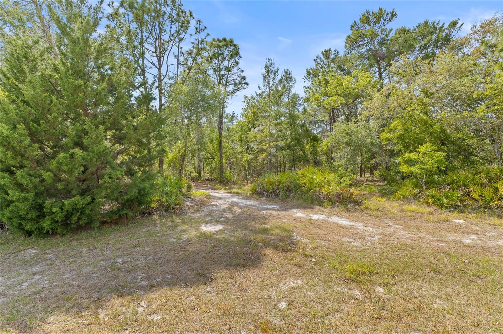 8459 MAZETTE RD, WEEKI WACHEE, FL, 34613