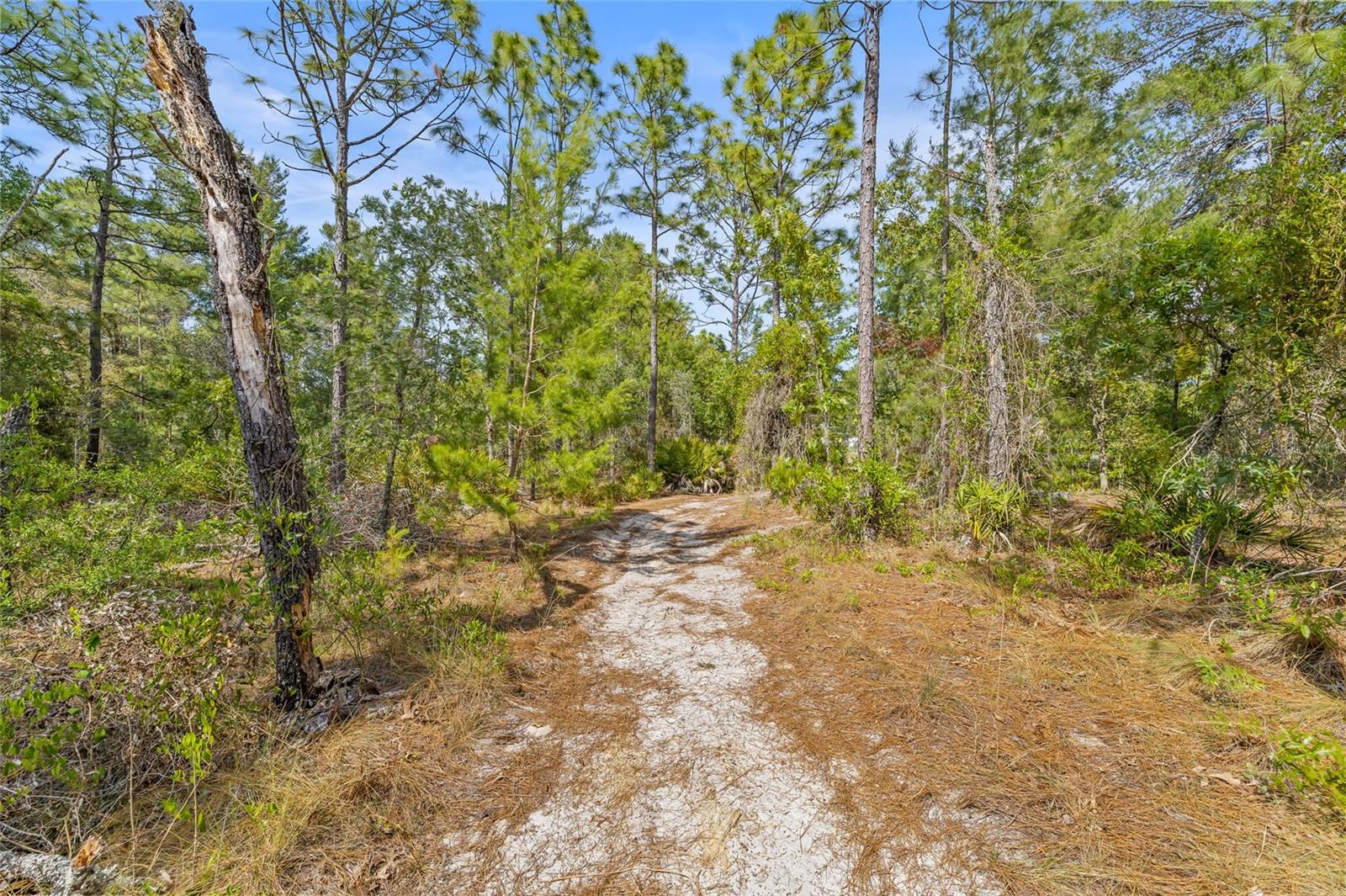 8459 MAZETTE RD, WEEKI WACHEE, FL, 34613