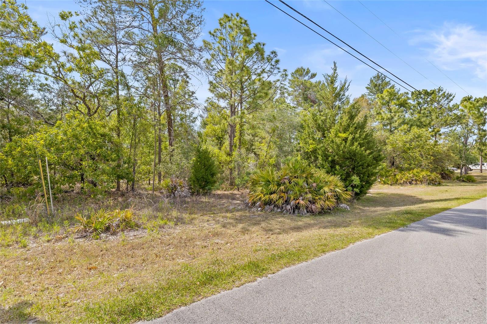 8459 MAZETTE RD, WEEKI WACHEE, FL, 34613