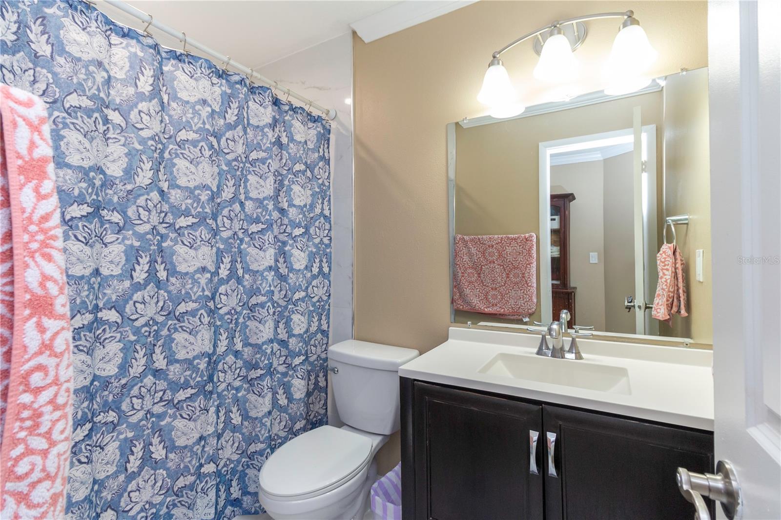 11210 WHEELING DR, TAMPA, FL, 33625