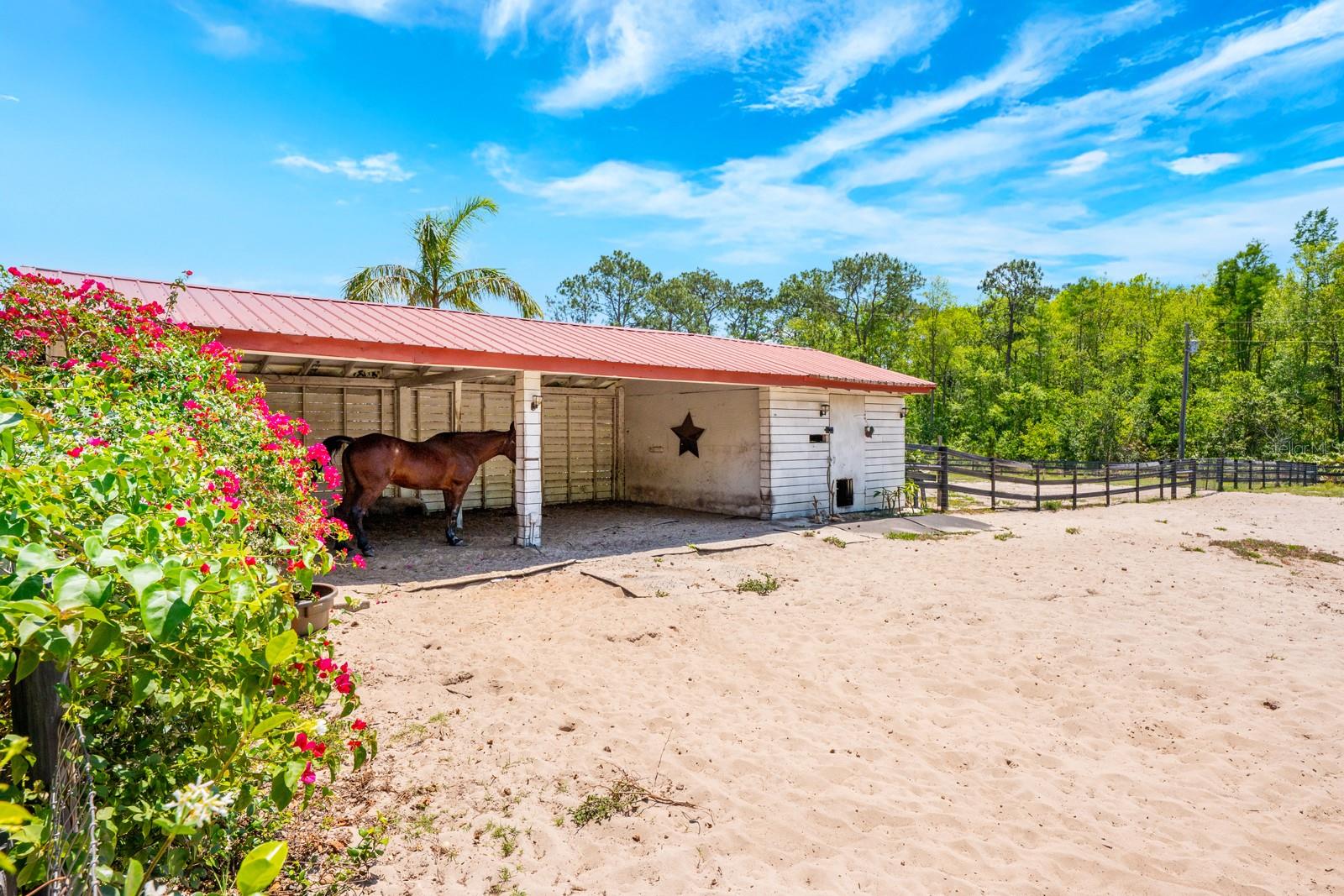 8515 BAY LAKE RD, GROVELAND, FL, 34736