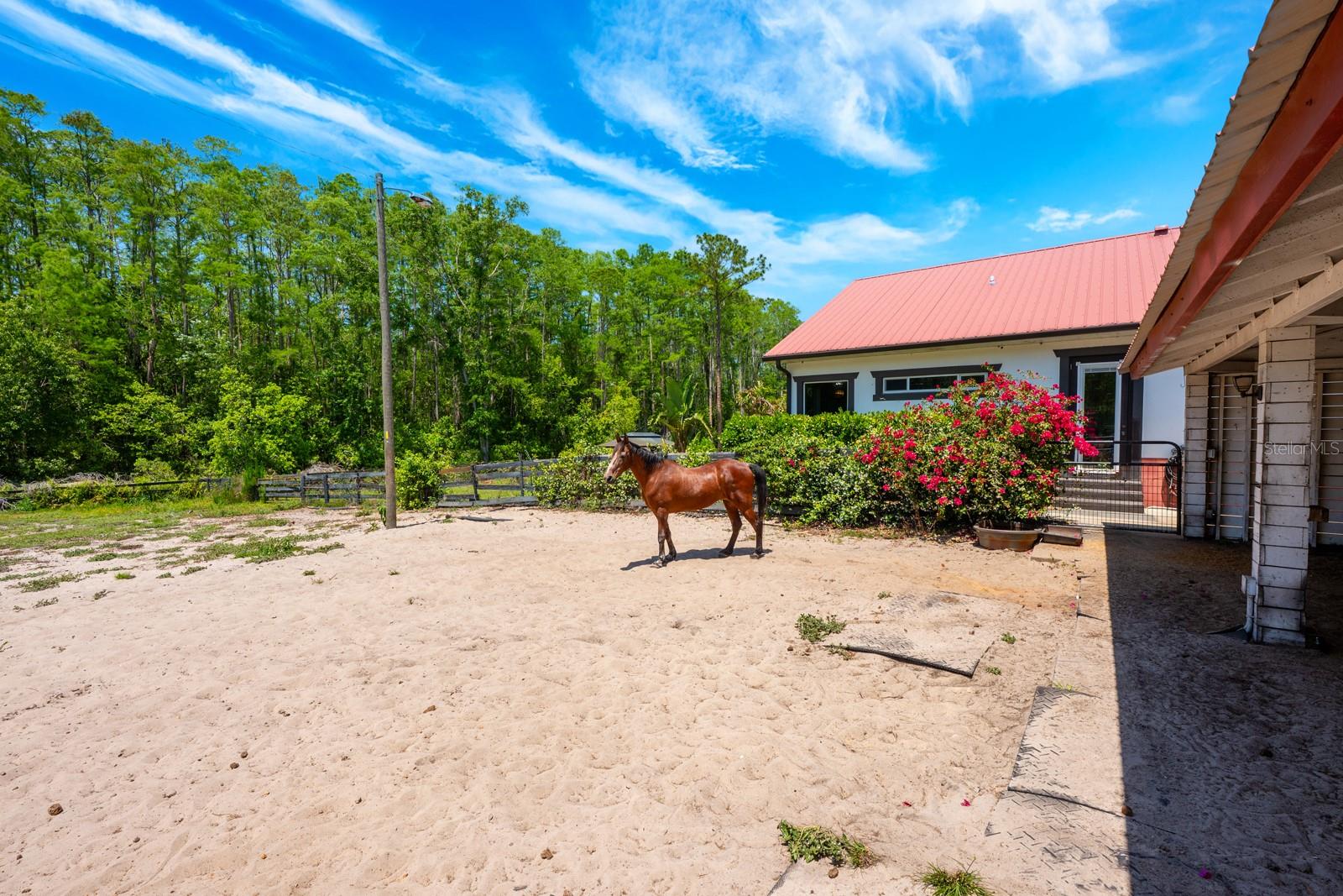 8515 BAY LAKE RD, GROVELAND, FL, 34736