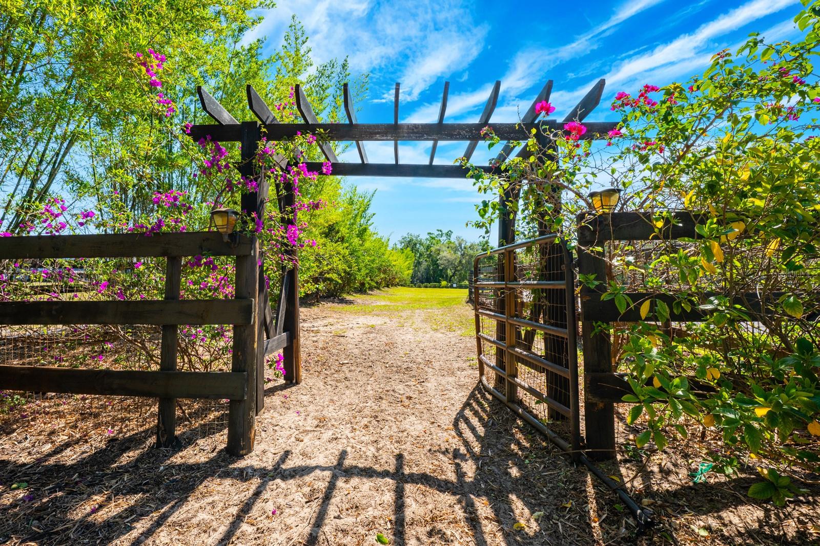 8515 BAY LAKE RD, GROVELAND, FL, 34736