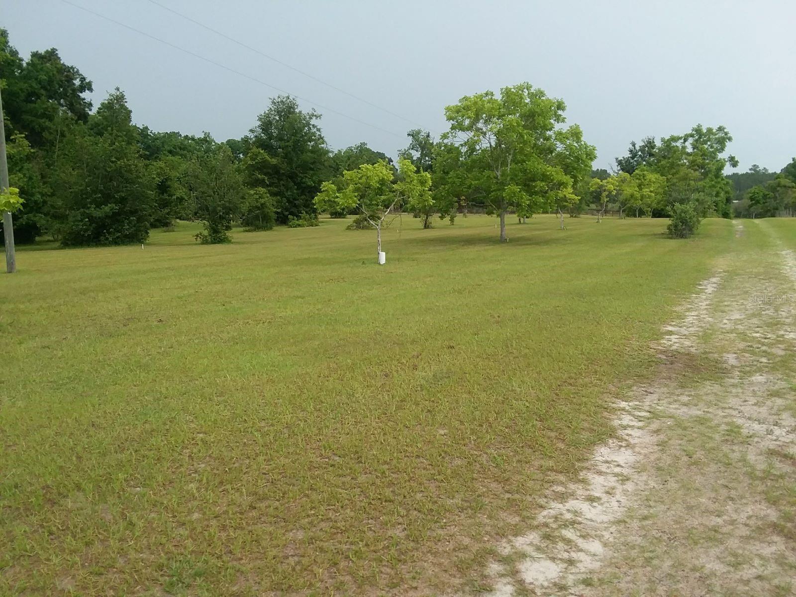 1890 NW 167TH PL, TRENTON, FL, 32693