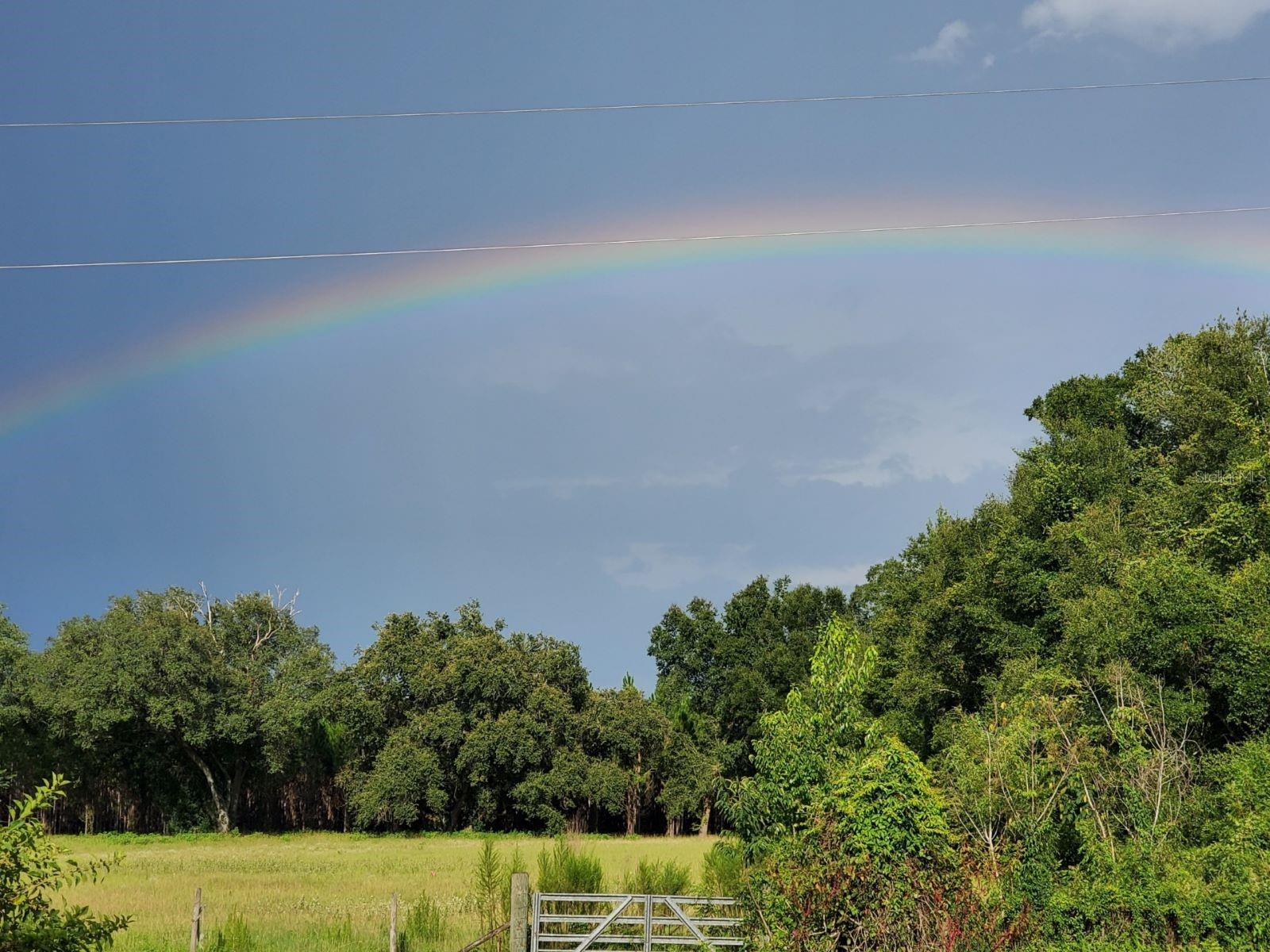 1890 NW 167TH PL, TRENTON, FL, 32693