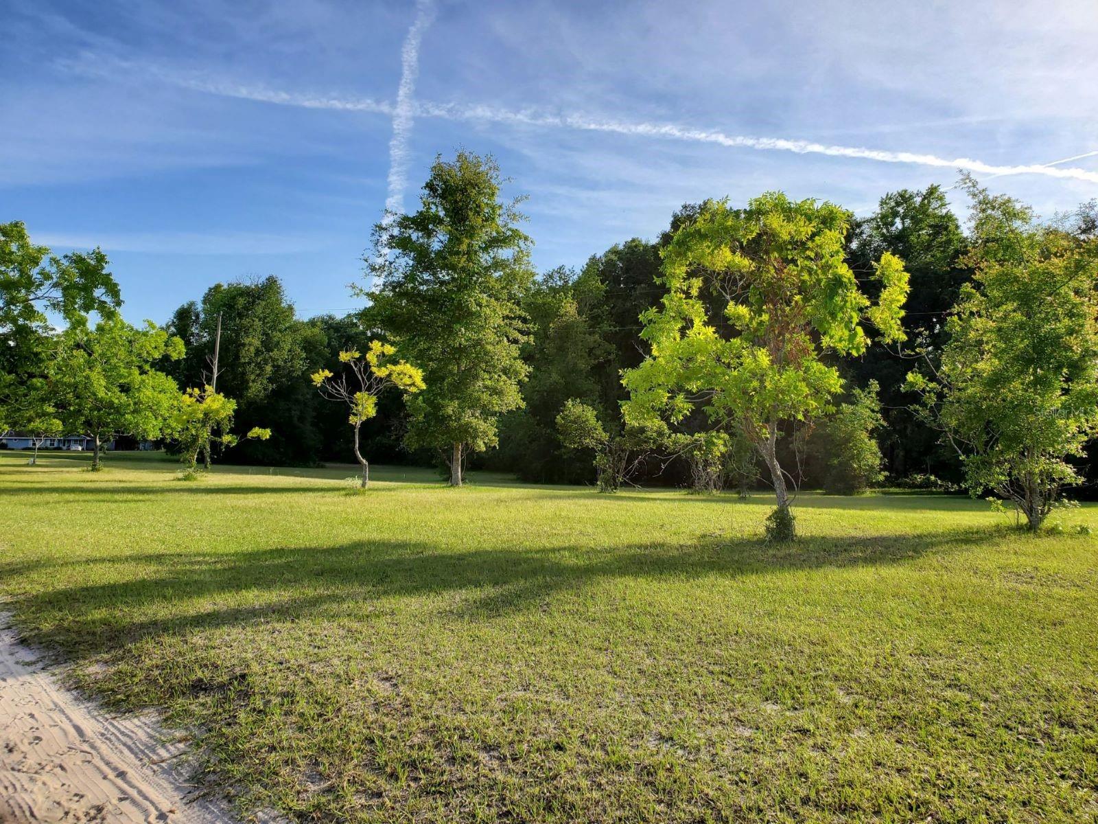 1890 NW 167TH PL, TRENTON, FL, 32693