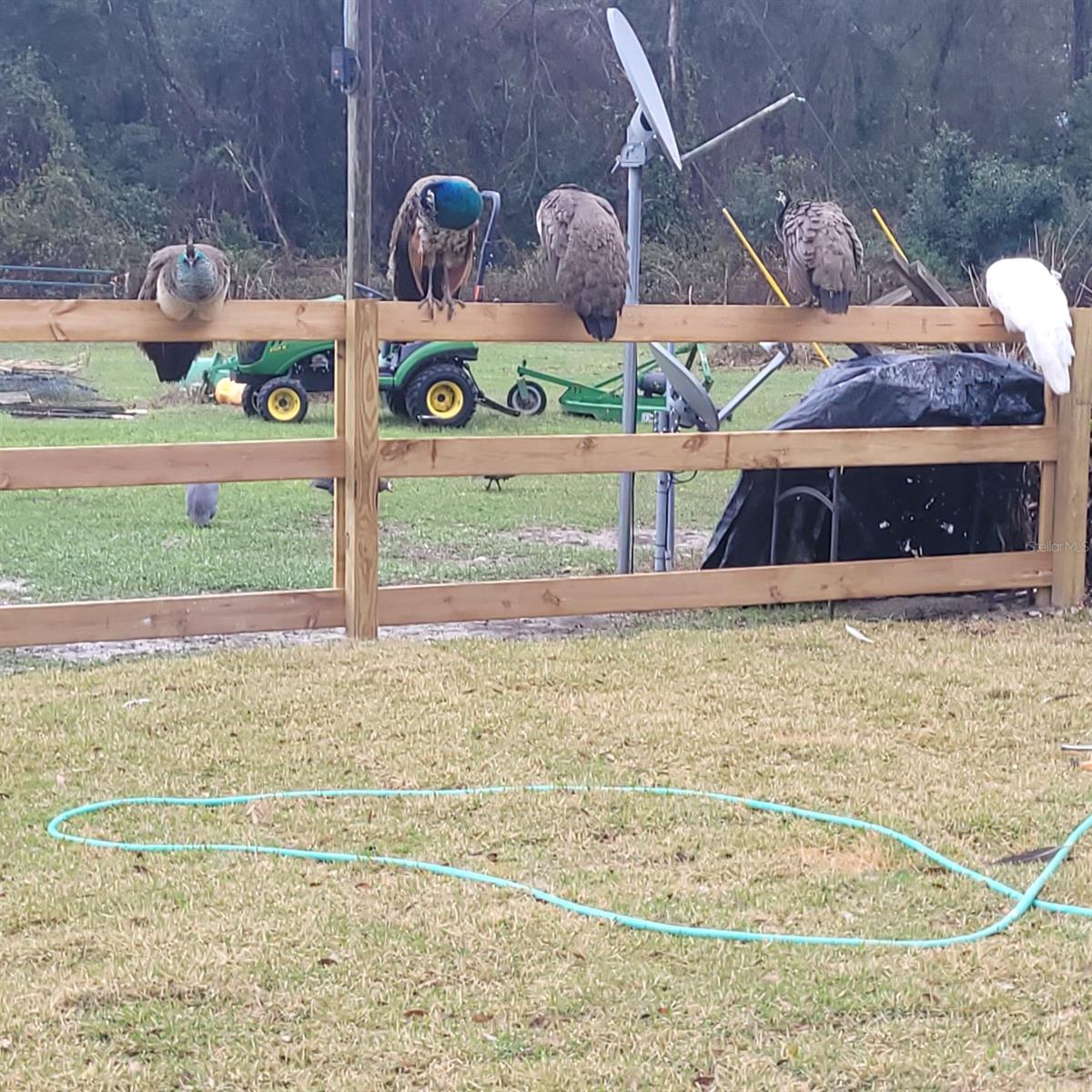 1890 NW 167TH PL, TRENTON, FL, 32693