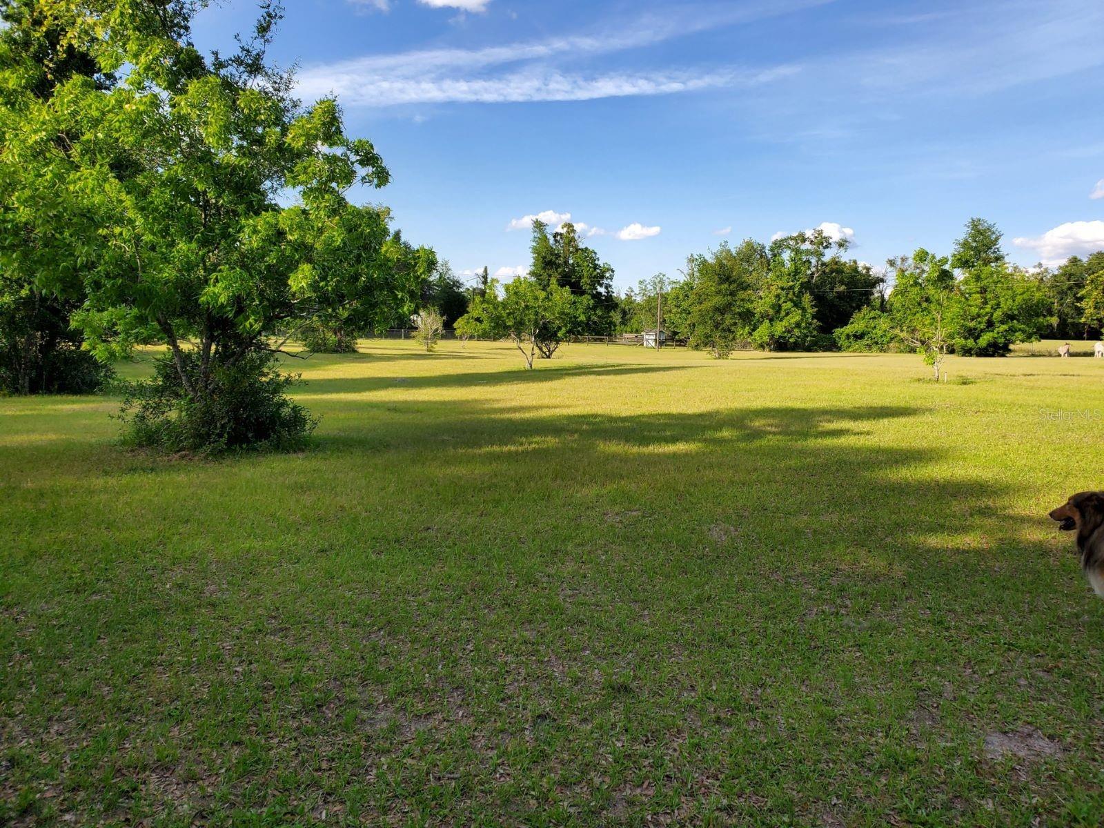 1890 NW 167TH PL, TRENTON, FL, 32693