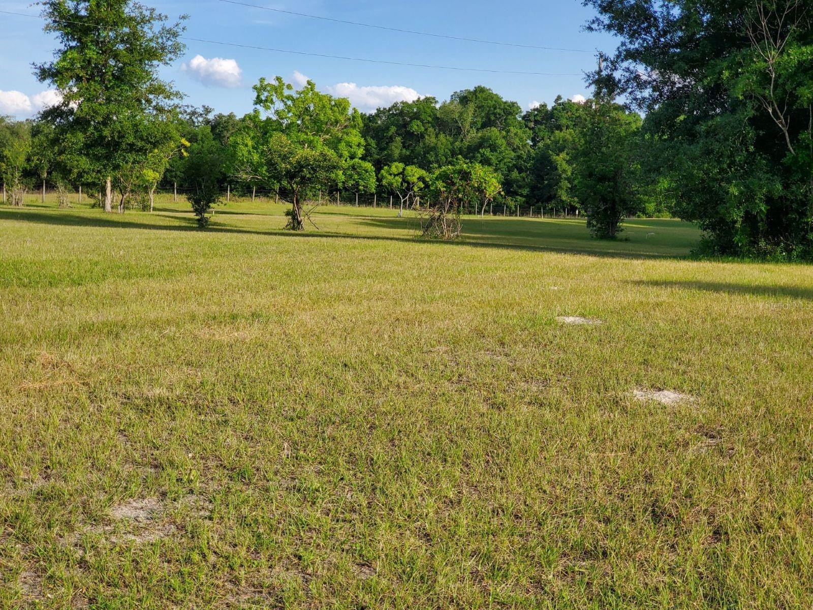 1890 NW 167TH PL, TRENTON, FL, 32693