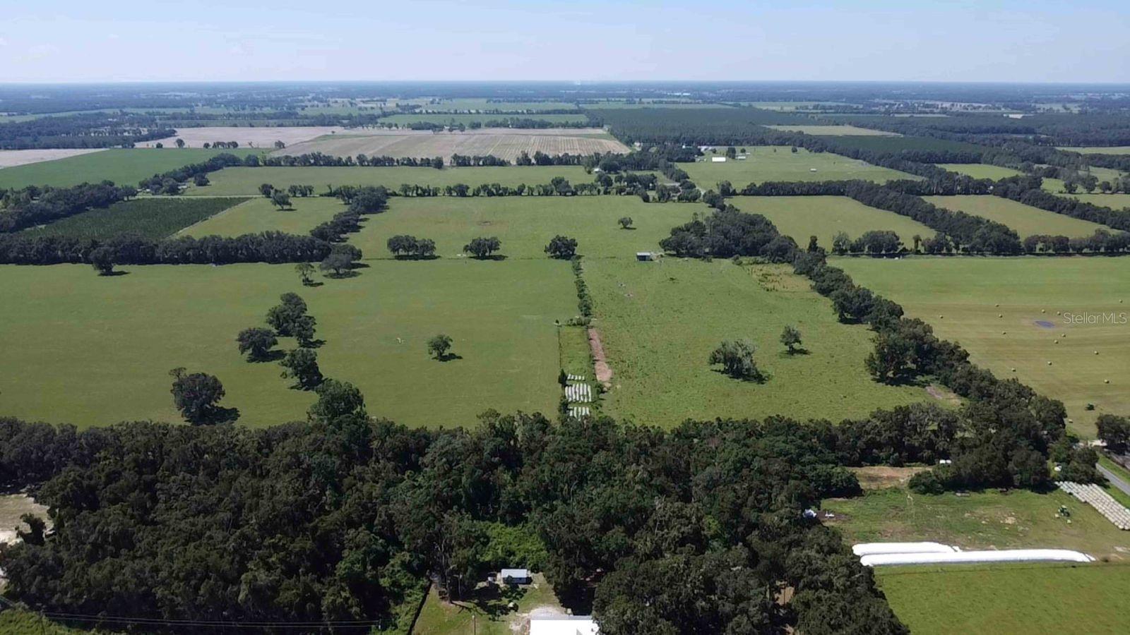 1890 NW 167TH PL, TRENTON, FL, 32693