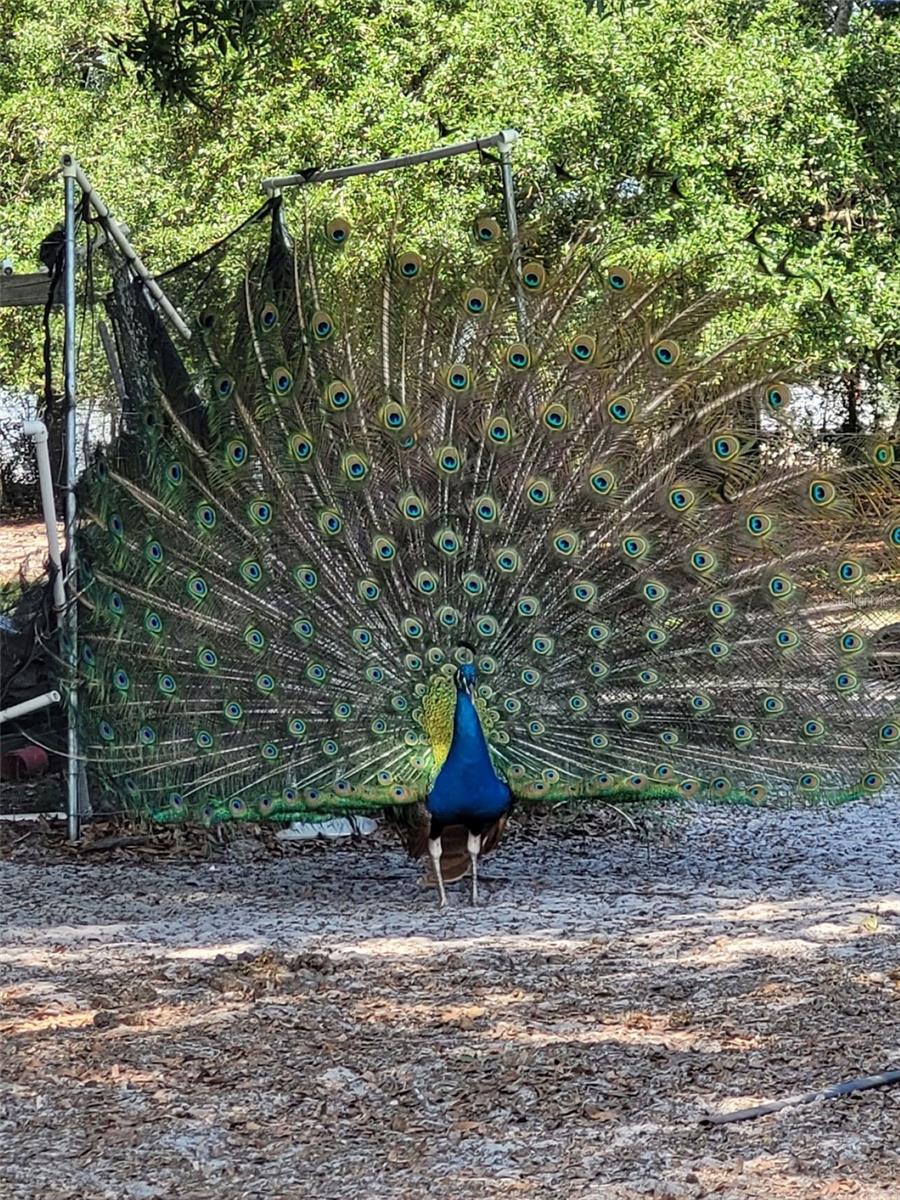 1890 NW 167TH PL, TRENTON, FL, 32693