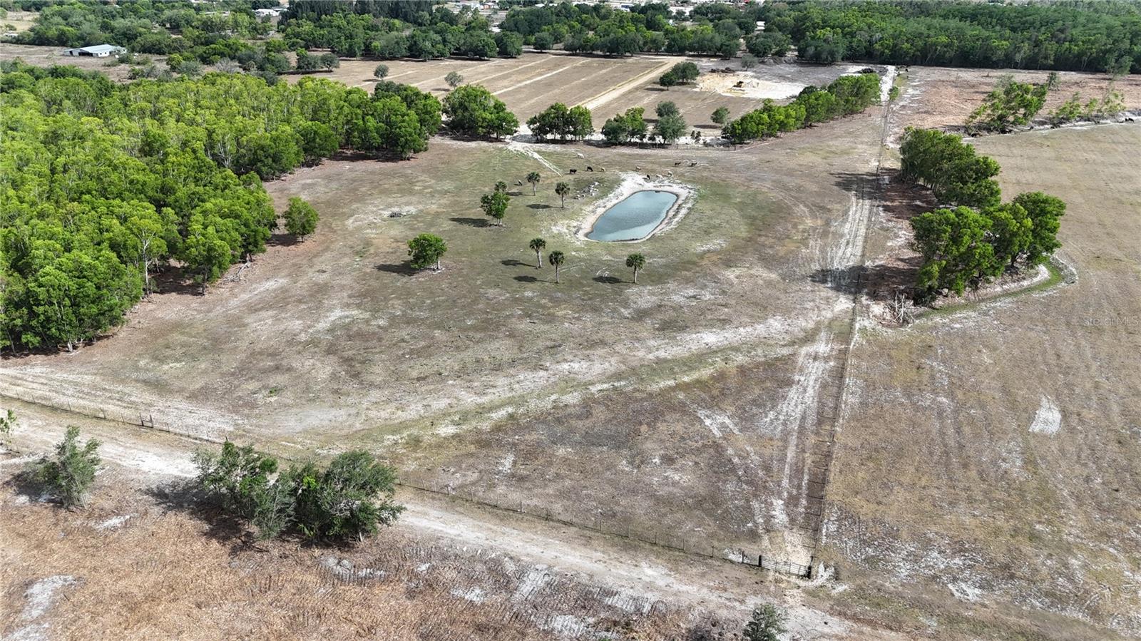 17341 BALFOUR TER, FORT MYERS, FL, 33913