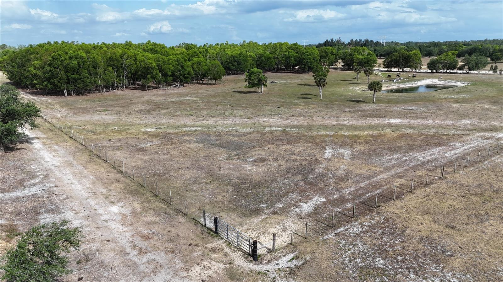 17341 BALFOUR TER, FORT MYERS, FL, 33913