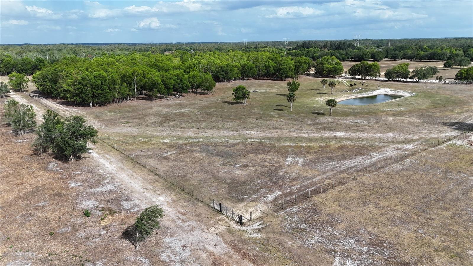 17341 BALFOUR TER, FORT MYERS, FL, 33913