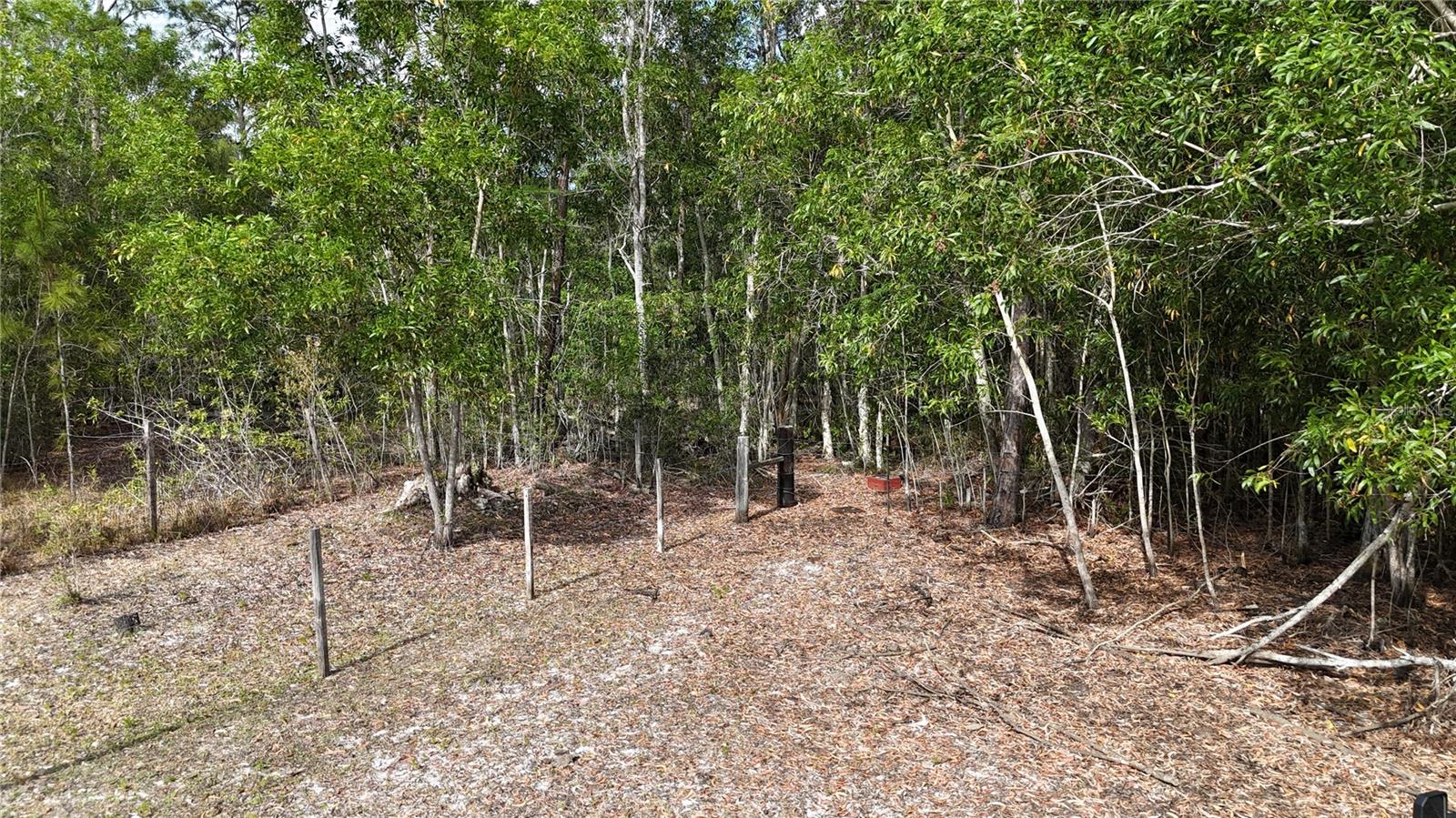 17341 BALFOUR TER, FORT MYERS, FL, 33913