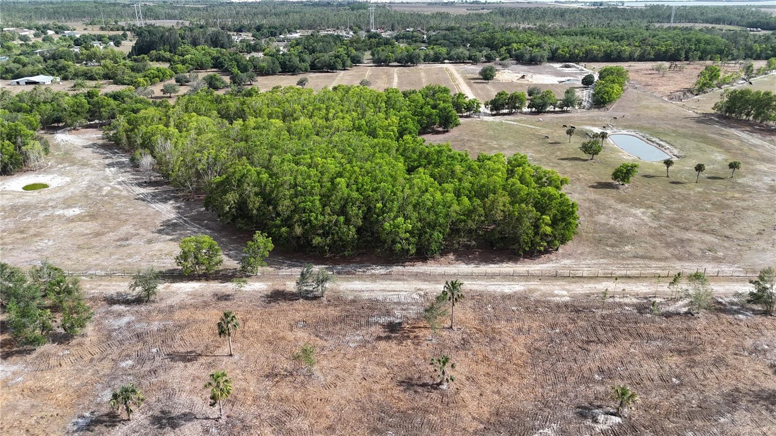 17341 BALFOUR TER, FORT MYERS, FL, 33913