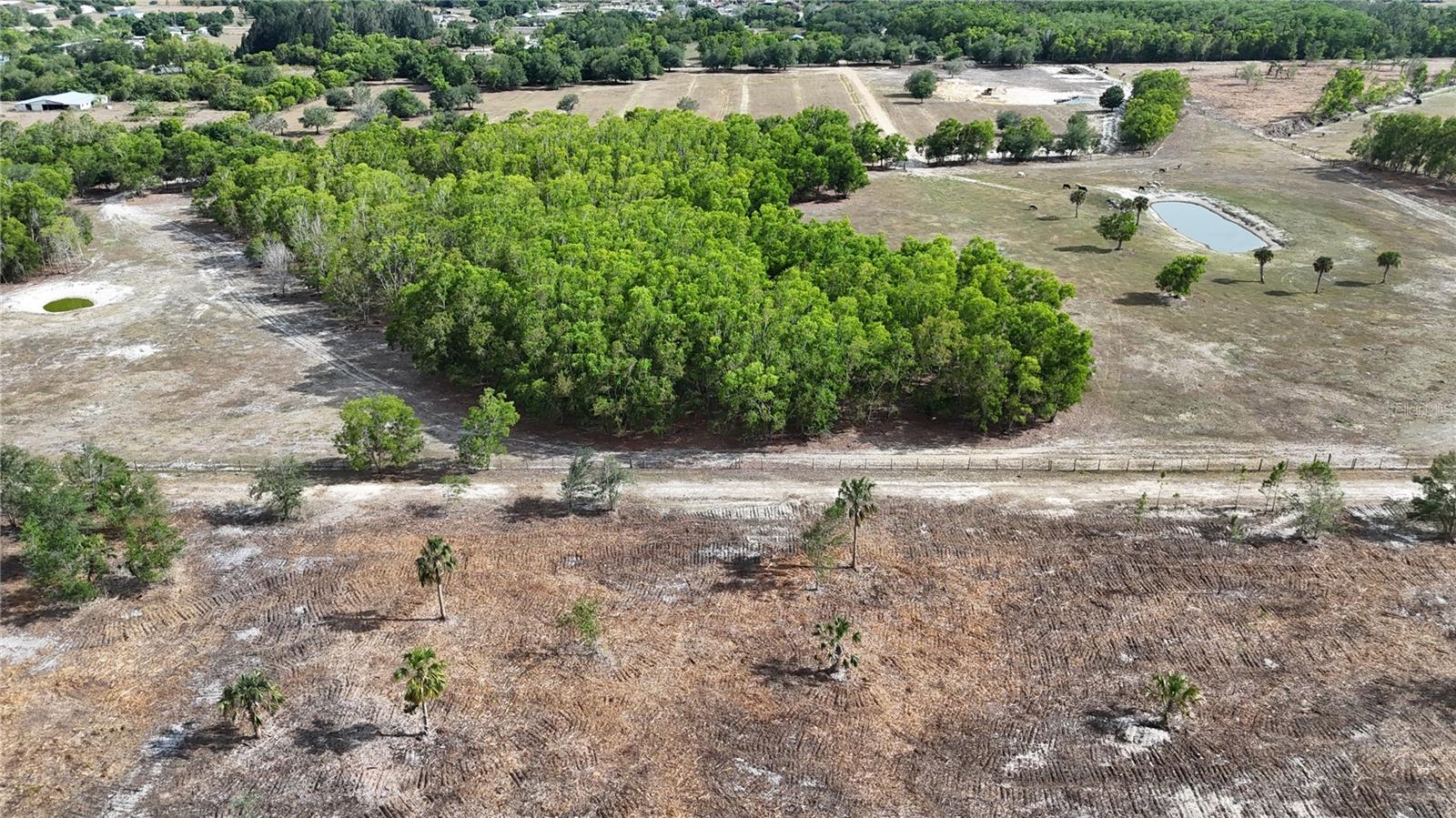 17341 BALFOUR TER, FORT MYERS, FL, 33913