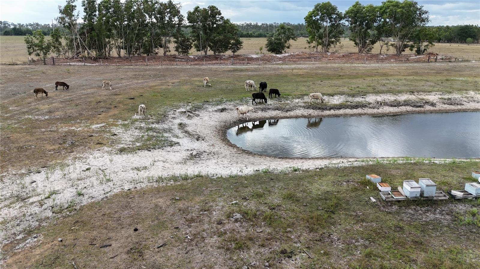 17341 BALFOUR TER, FORT MYERS, FL, 33913