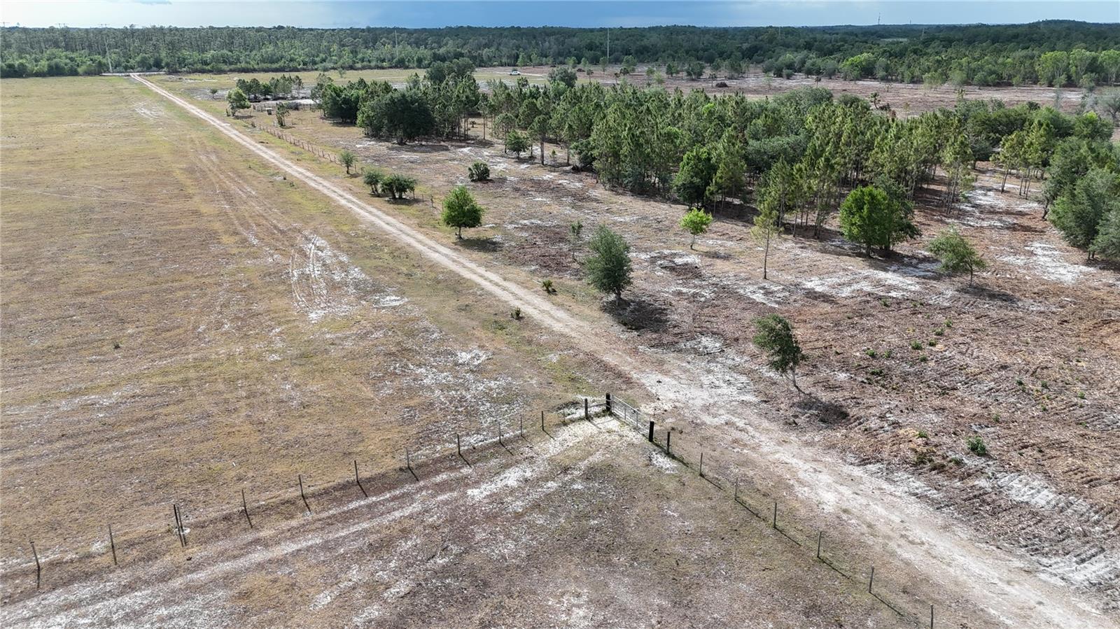 17341 BALFOUR TER, FORT MYERS, FL, 33913