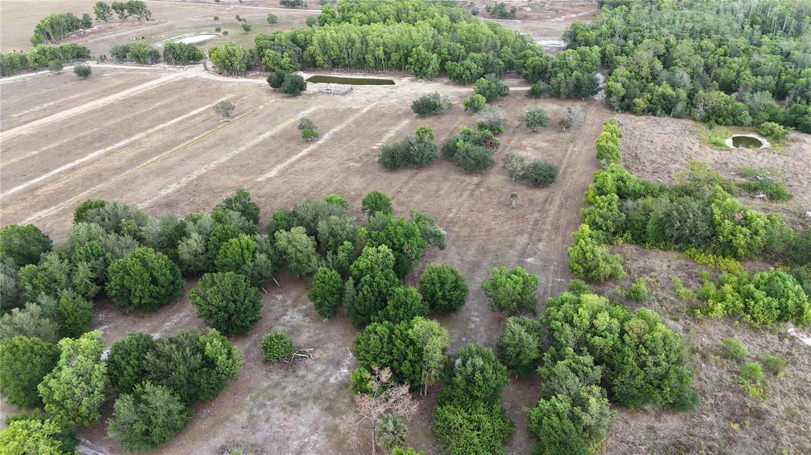 17341 BALFOUR TER, FORT MYERS, FL, 33913