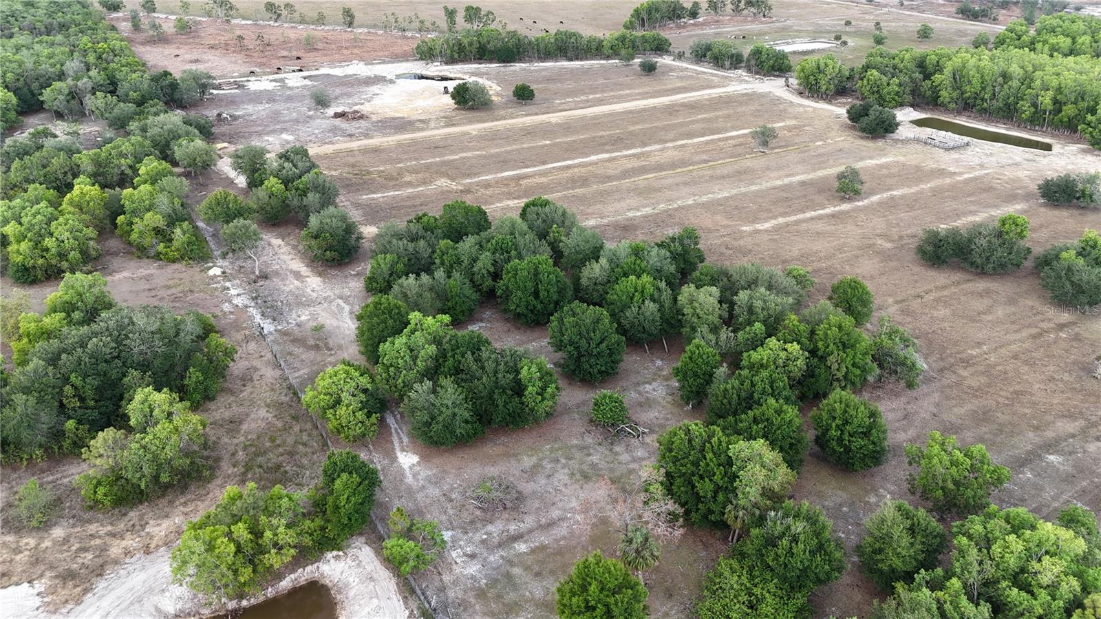 17341 BALFOUR TER, FORT MYERS, FL, 33913