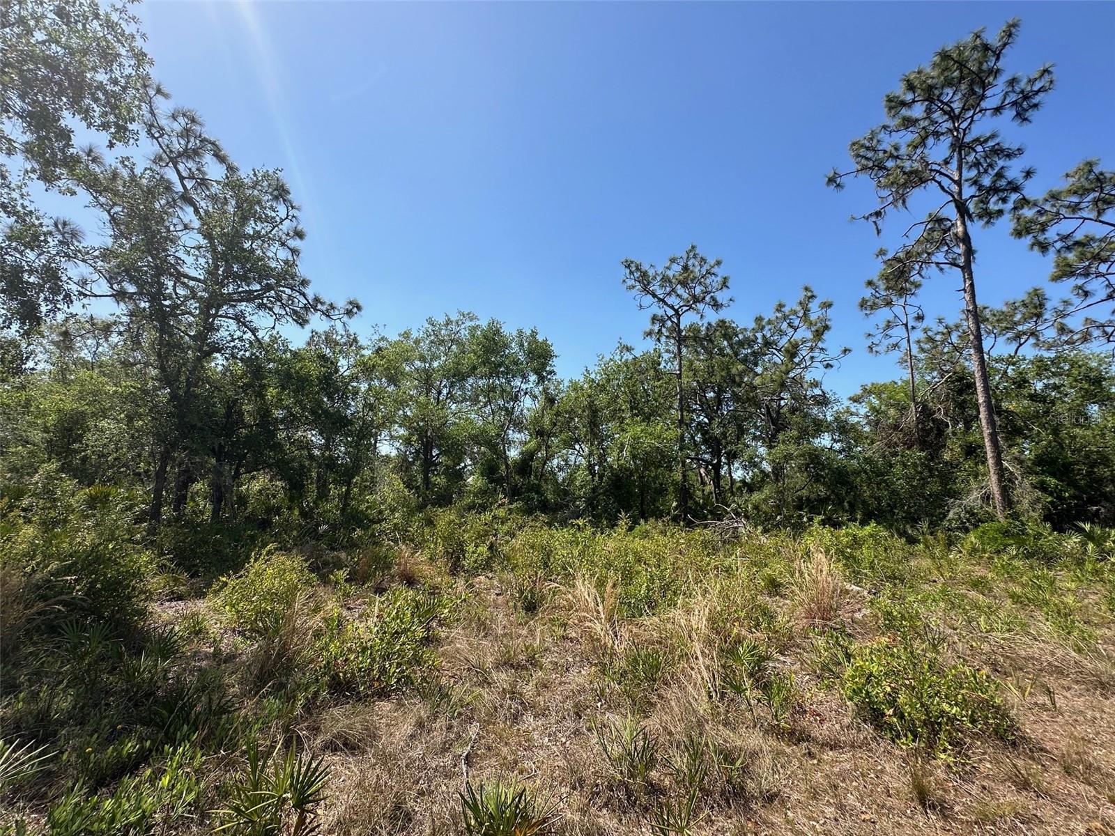 3705 222ND ST E, BRADENTON, FL, 34211