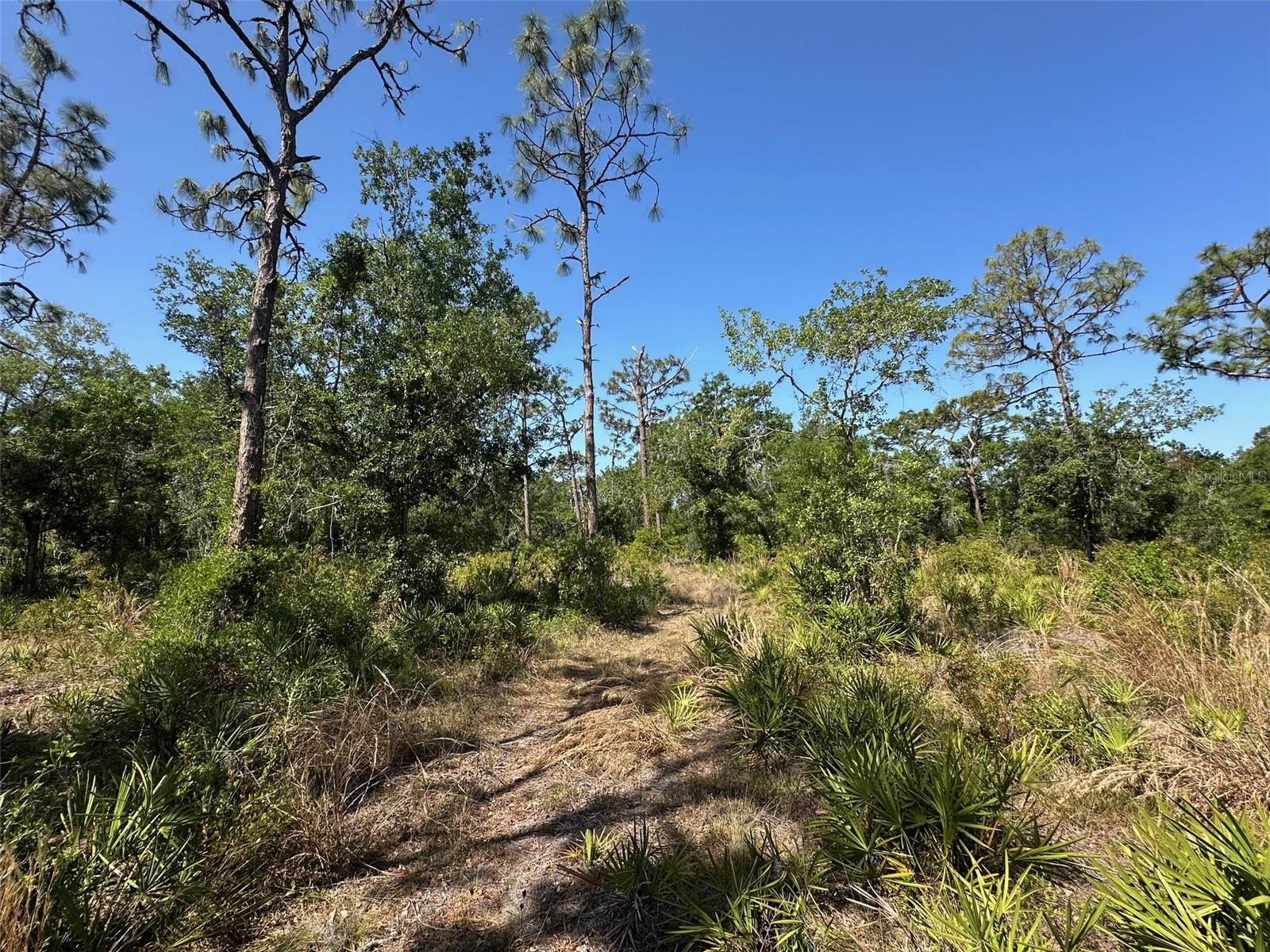 3705 222ND ST E, BRADENTON, FL, 34211