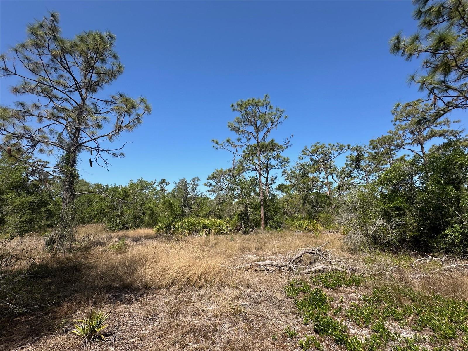 3705 222ND ST E, BRADENTON, FL, 34211