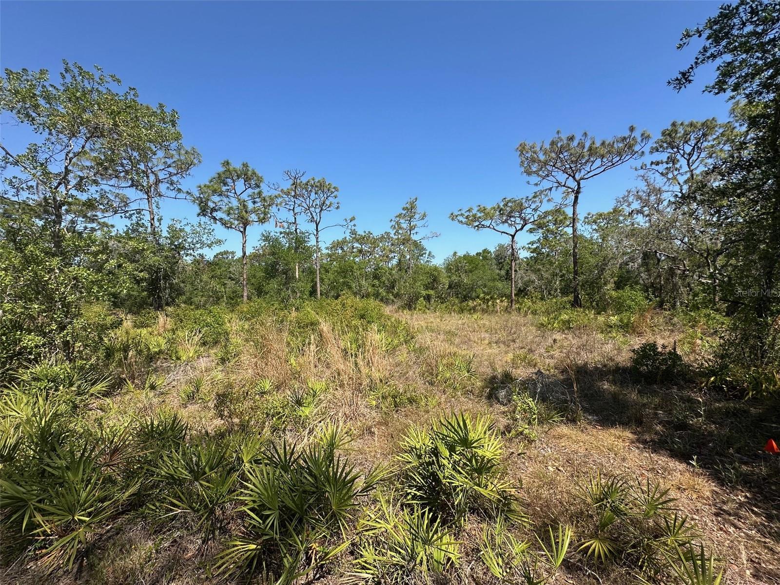 3705 222ND ST E, BRADENTON, FL, 34211