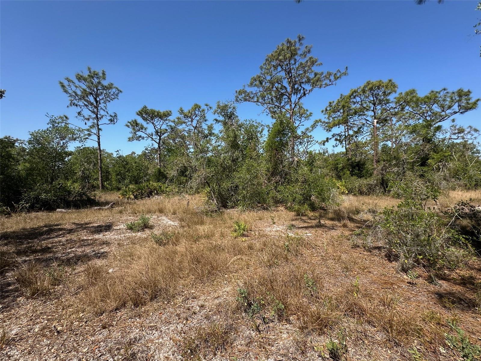 3705 222ND ST E, BRADENTON, FL, 34211