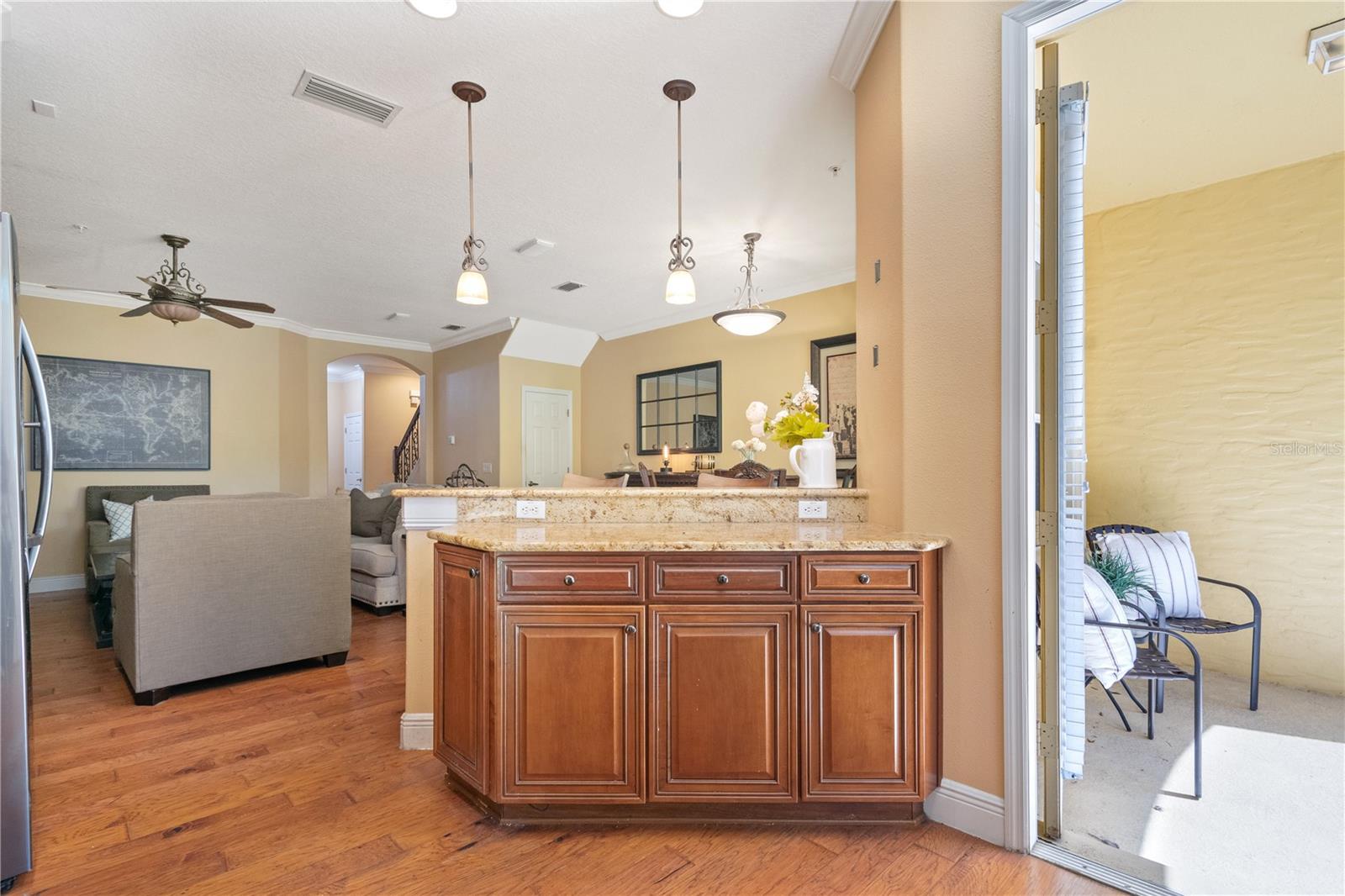 1379 BENEVOLENT ST, MAITLAND, FL, 32751