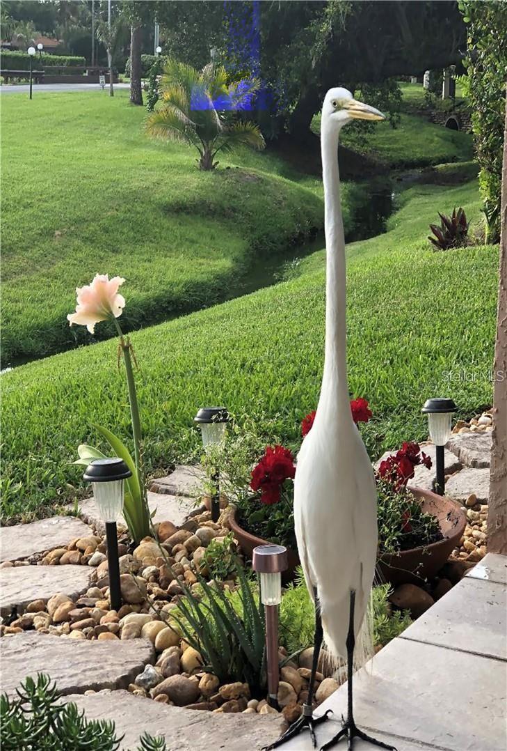 6303 VISTA VERDE DR E, GULFPORT, FL, 33707