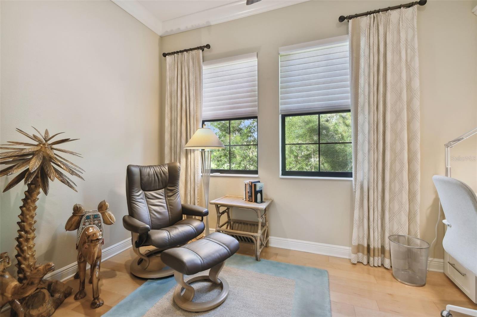 1341 MARINELLA DR, PALM HARBOR, FL, 34683