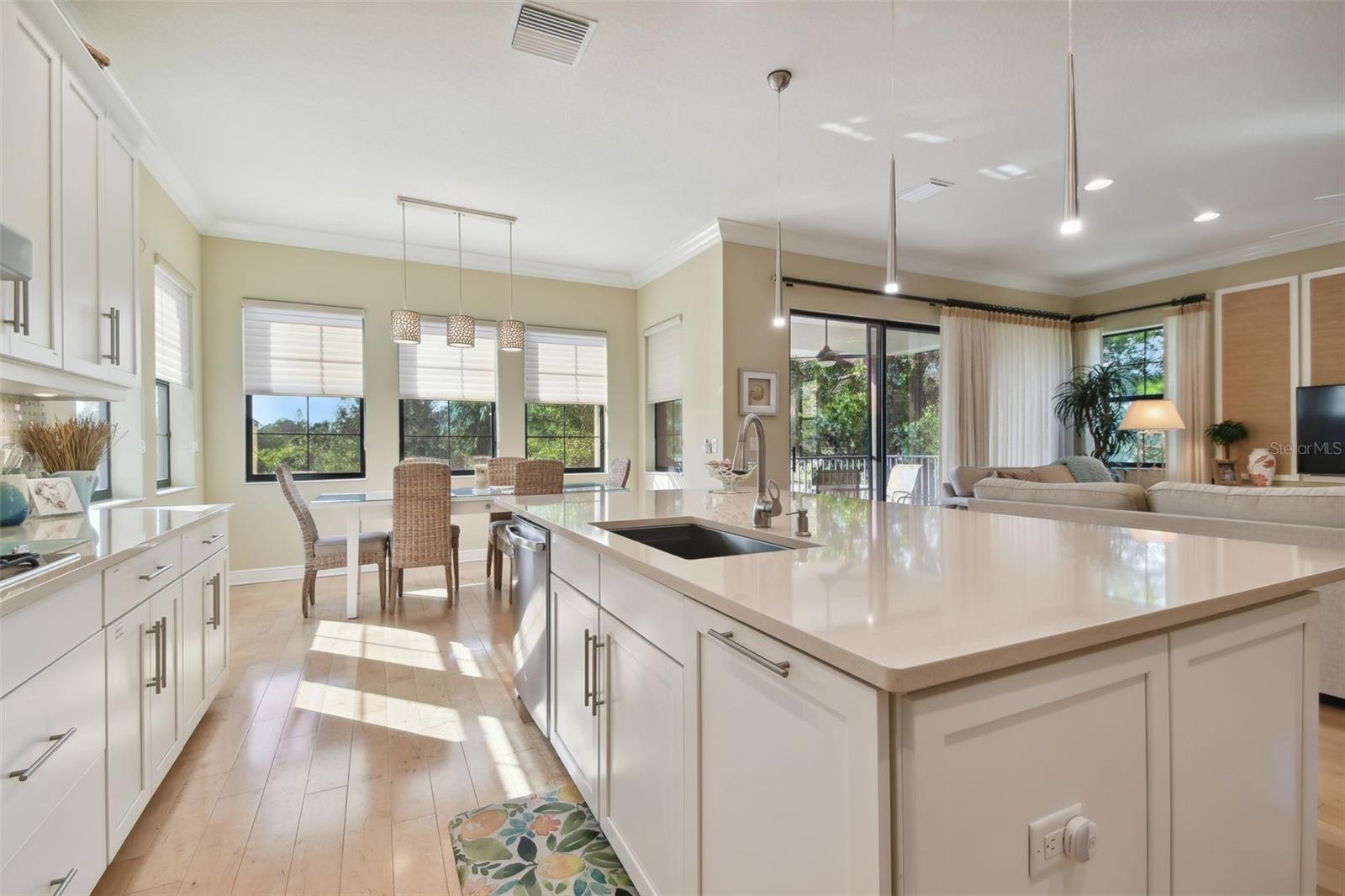 1341 MARINELLA DR, PALM HARBOR, FL, 34683