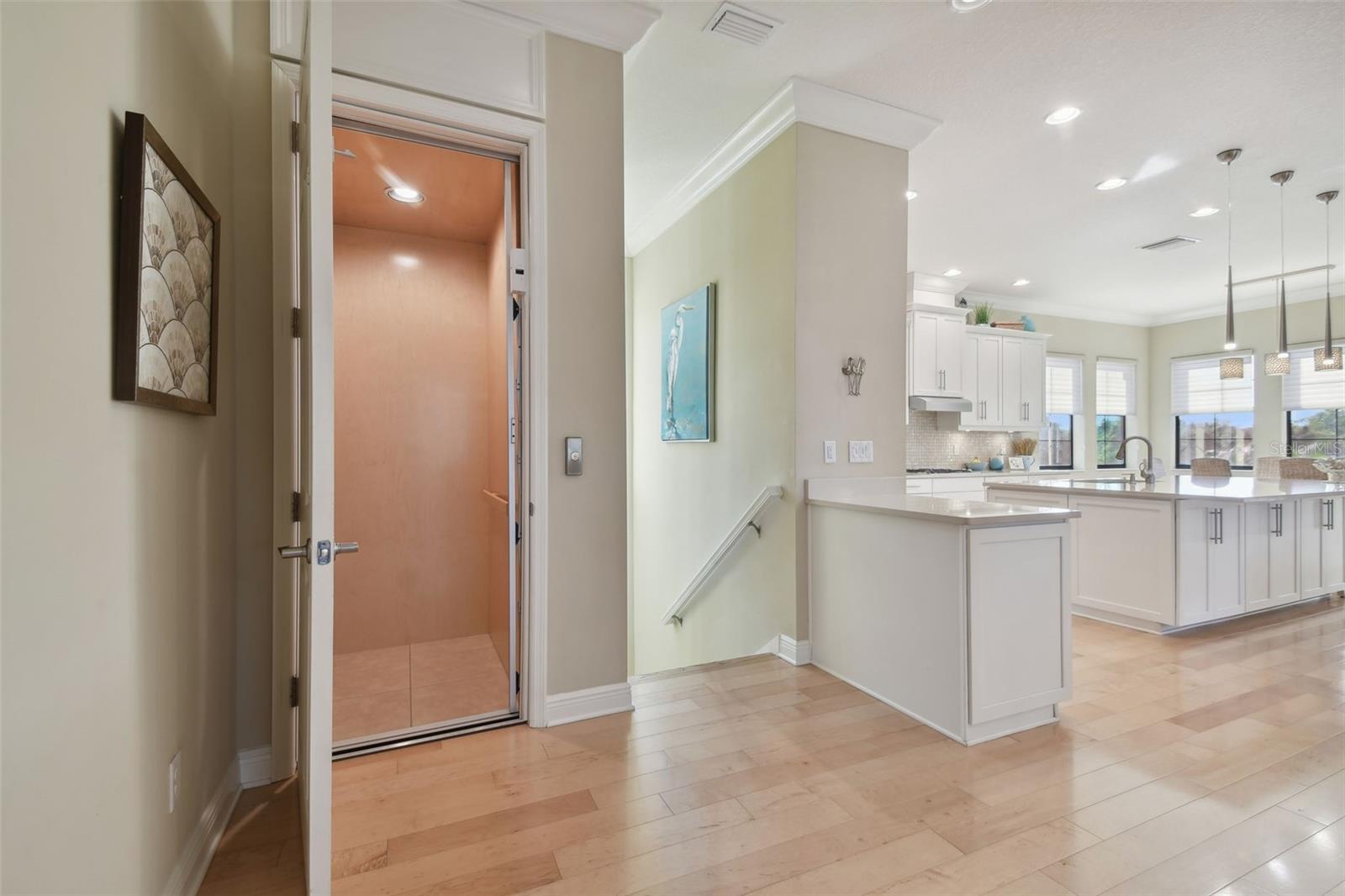 1341 MARINELLA DR, PALM HARBOR, FL, 34683