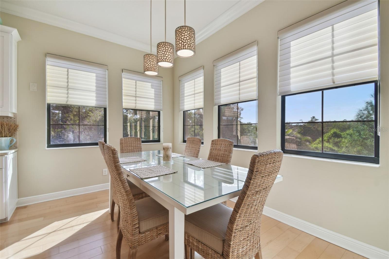 1341 MARINELLA DR, PALM HARBOR, FL, 34683